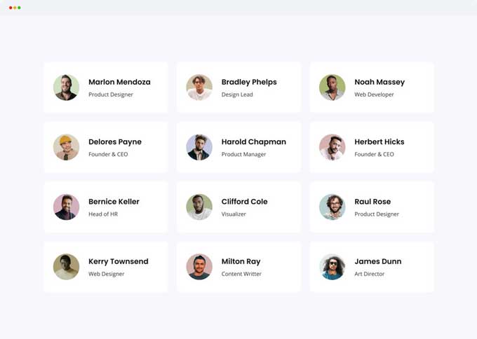 Divi author list