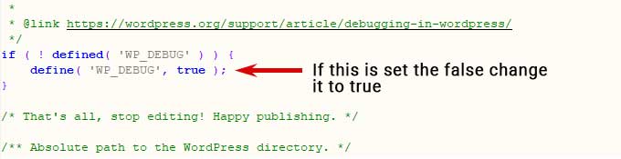 Enable debug mode in WordPres