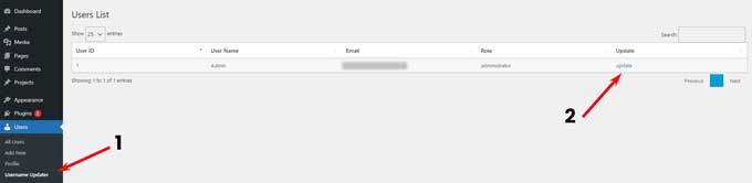 Navigate to Users - Username Updater and click on Update