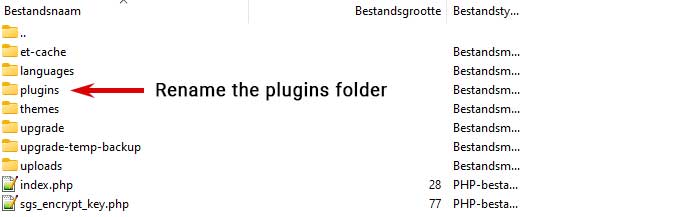 Rename the plugins folder