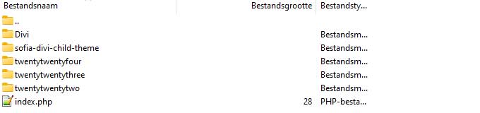Rename theme folder