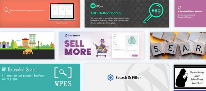 The best WordPress search plugins
