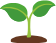 grow icon