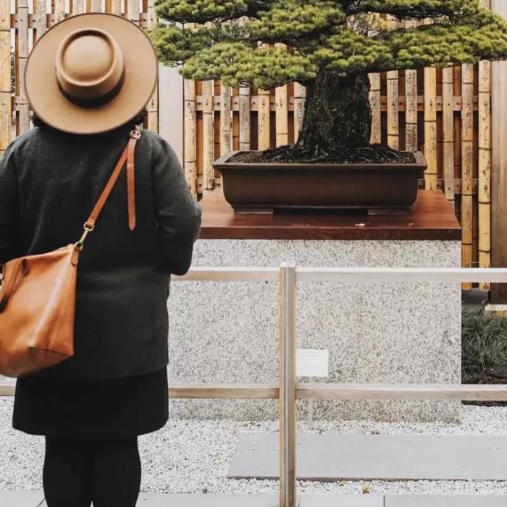 @lavalerosa - Visitor at the U.S. National Arboretum's National Bonsai &amp; Penjing Museum - Free international experience in Washington, DC