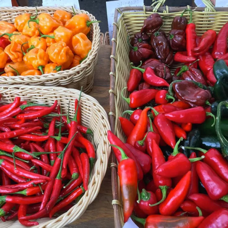 @lechefswife - Fresh Produce at Dupont Circle Farmers' Market - Farmers' Markets in Washington, DC